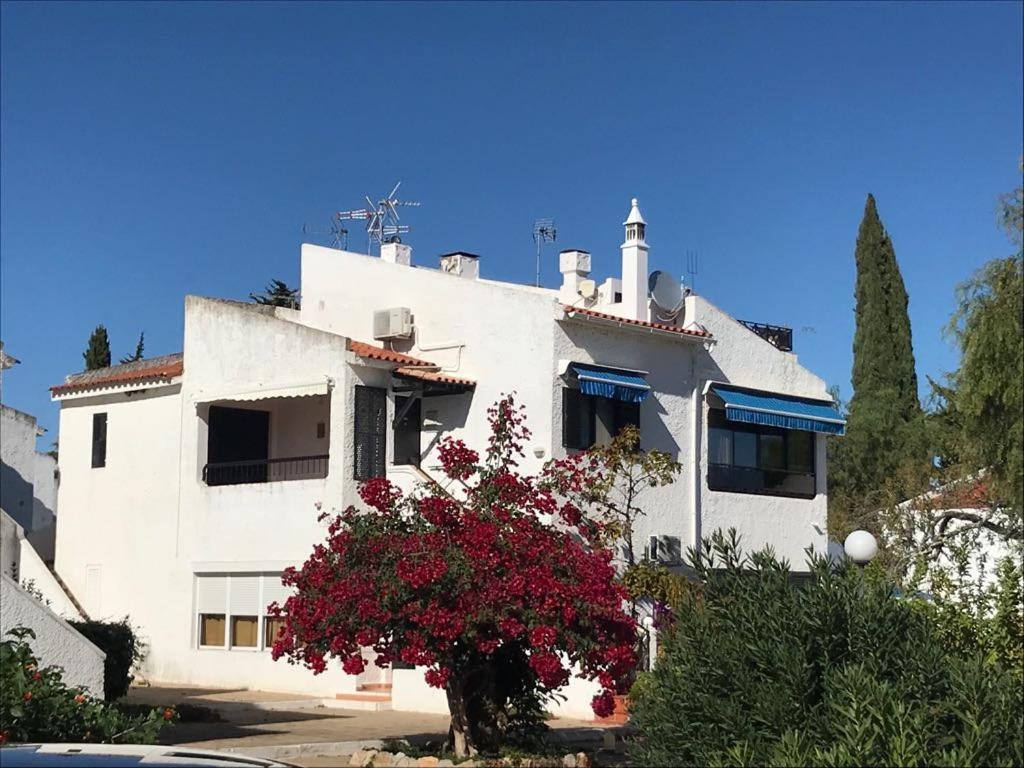 T0 Pedras D'El Rei Lejlighed Tavira Værelse billede